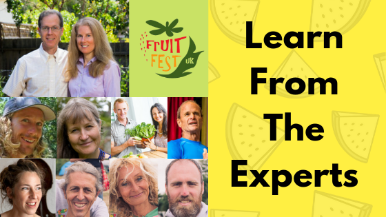 FREE WEBINAR: Ask Your Questions To The Experts Of The Raw Vegan Diet
