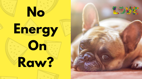 No Energy On A Raw Vegan Diet? Here Is Why…